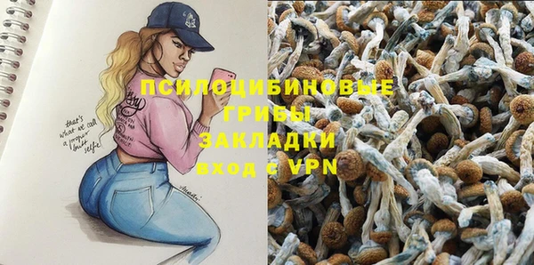 ECSTASY Вязьма