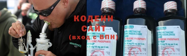 гидра Вяземский