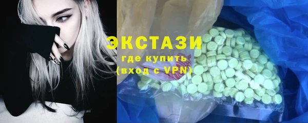 гидра Вяземский