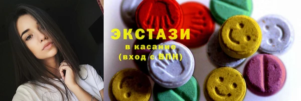 гидра Вяземский