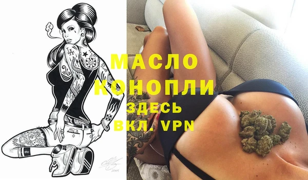 гидра Вяземский