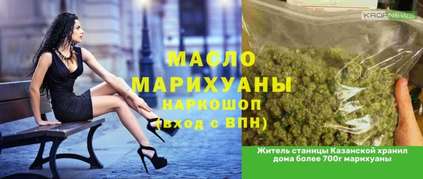гидра Вяземский