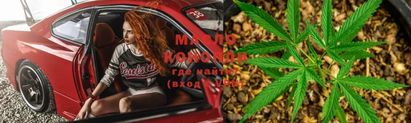 гидра Вяземский