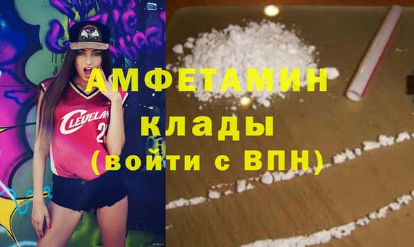 гидра Вяземский