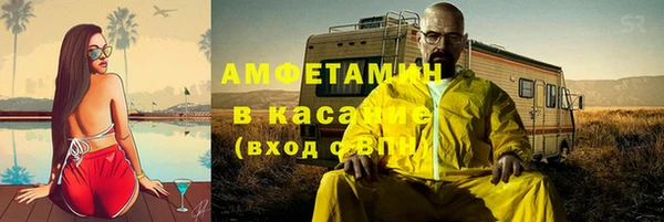 гидра Вяземский
