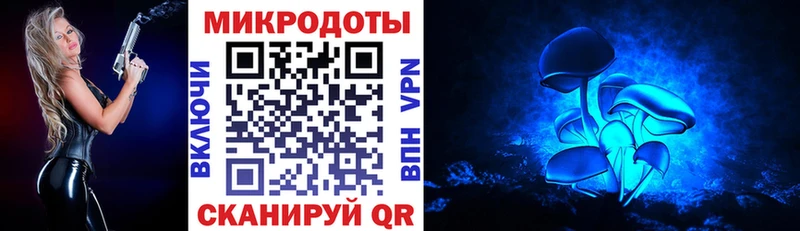 наркота  Пушкино  Псилоцибиновые грибы прущие грибы 
