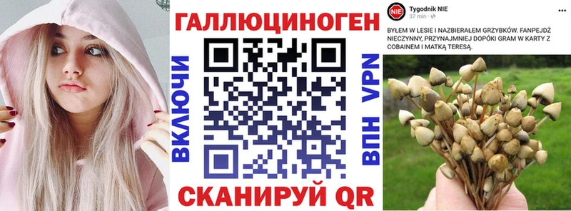 Псилоцибиновые грибы ЛСД Пушкино